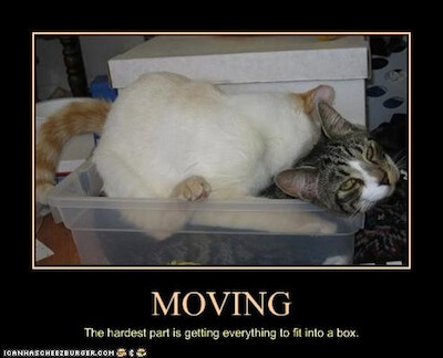 moving