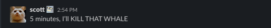 Scott: 5 minutes, I'LL KILL THAT WHALE